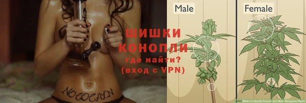 сатива Заволжск