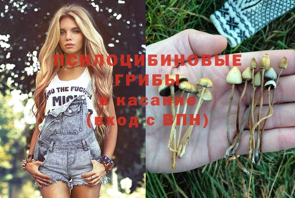 сатива Заволжск