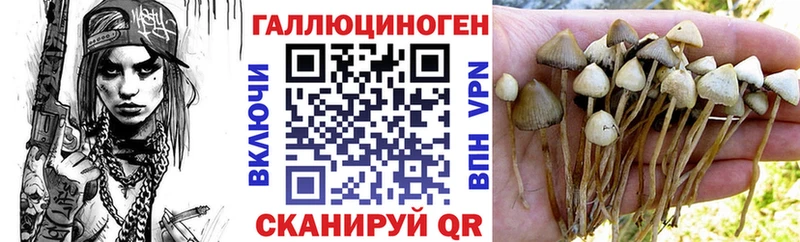 Купить закладки  Беломорск  Галлюциногенные грибы Cubensis 